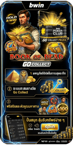 BOOK OF DEAD GO COLLECT - bwin